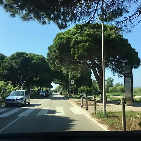 Gran Apartamento Cerca Del Aeropuerto 公寓 埃普拉特约布里加